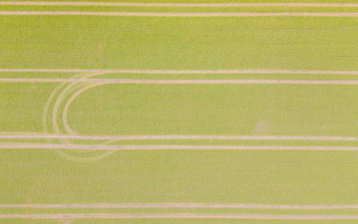 How Can We Feed The World in Times of Climate Change?