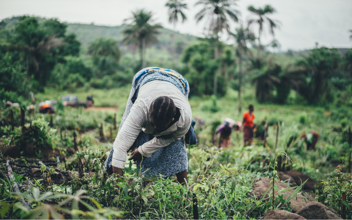 Deutsche G7-Präsidentschaft – Mit aller Macht gegen den Hunger 