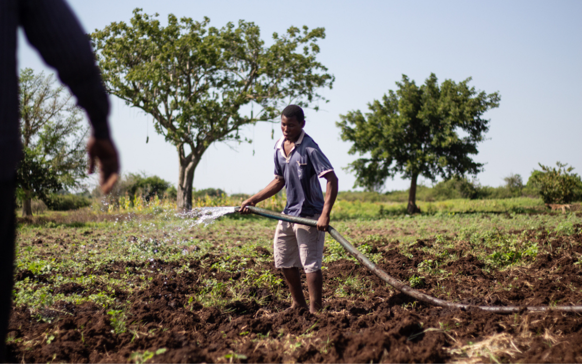 Die Jugend: Schlüsselakteure für eine Transformation der Agrar- und Ernährungssysteme