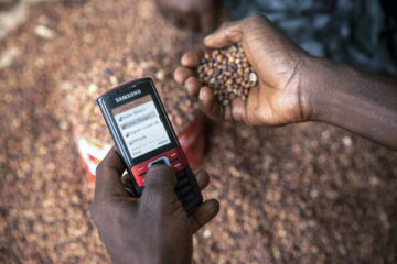 Mobile phones can help farmers by improving access to agricultural advice and market price information. Photo: Jake Lyell/Alamy Stock Photo