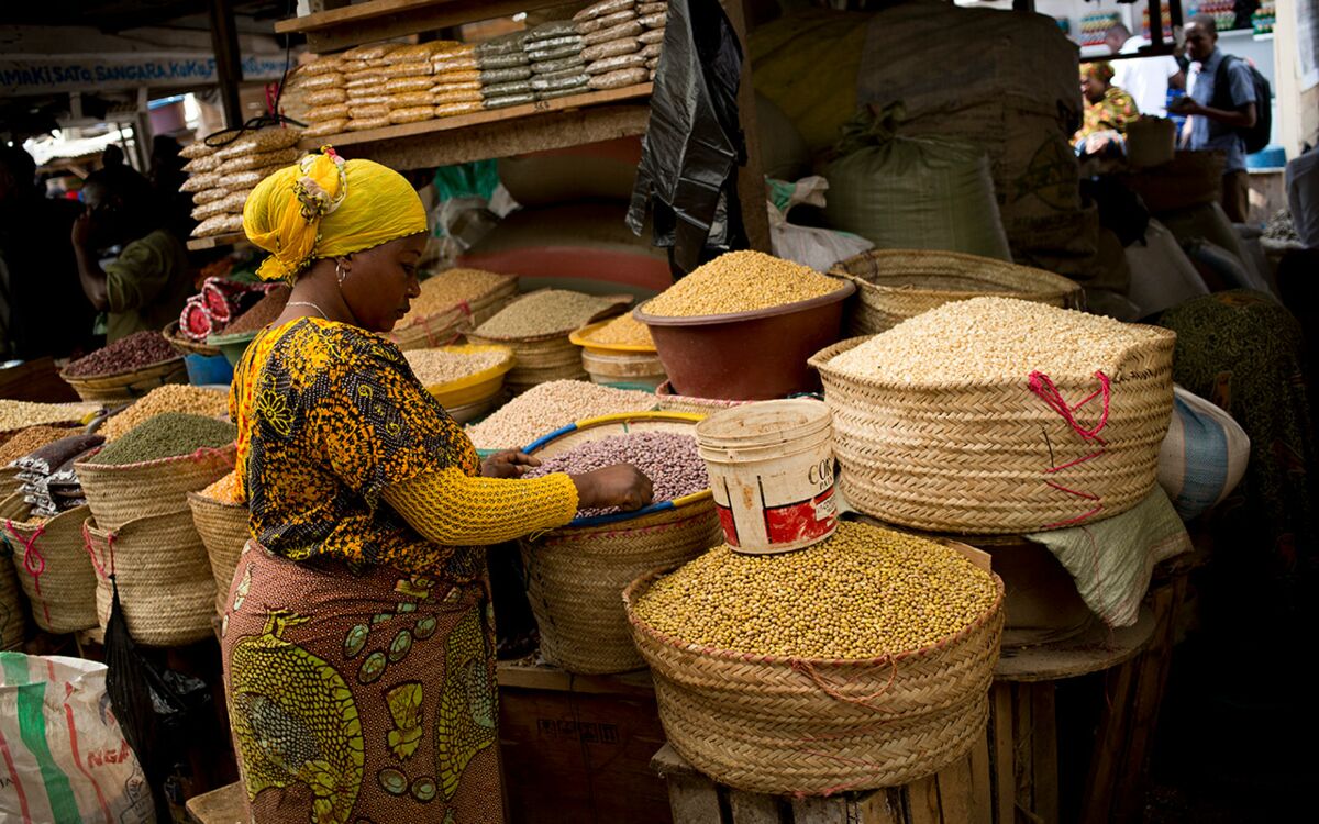 "Ernährung ist ein Menschenrecht"