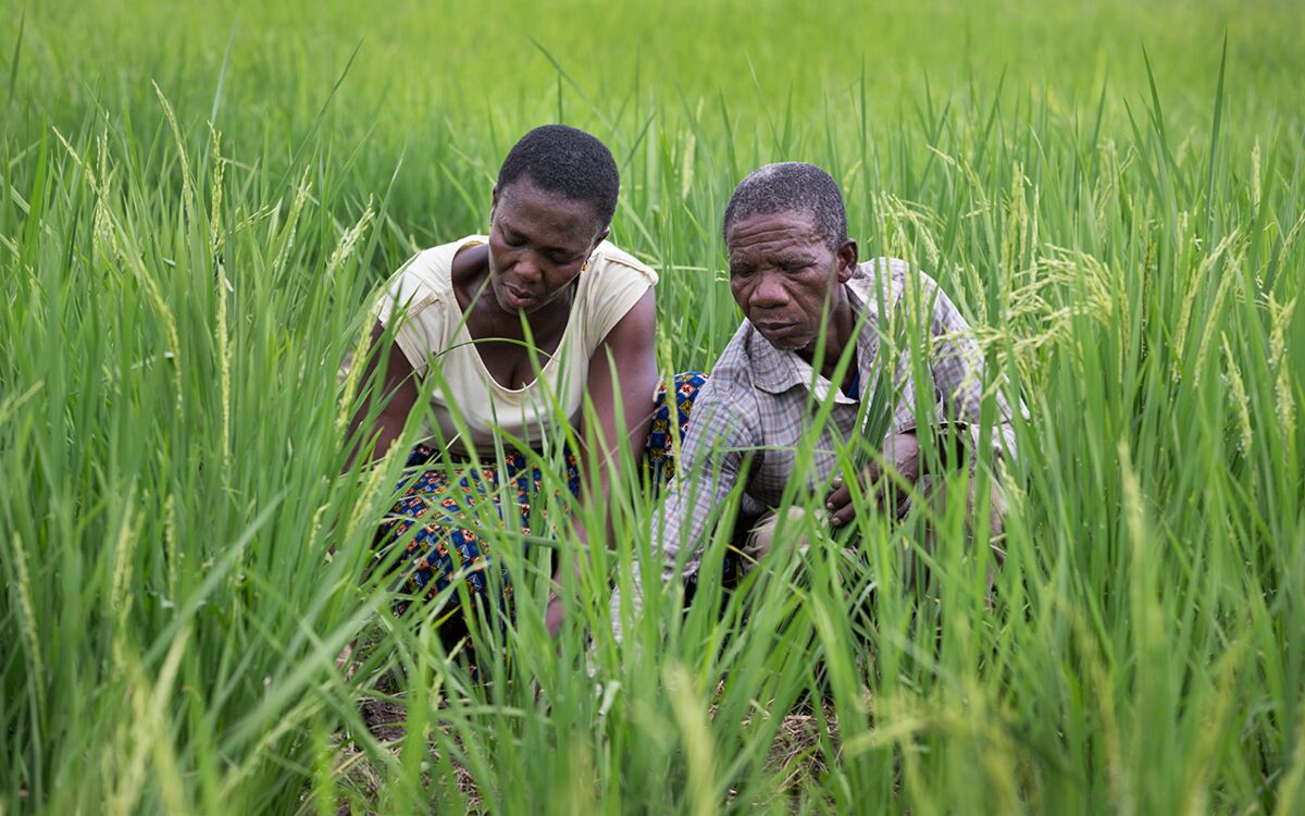 The price isn’t everything