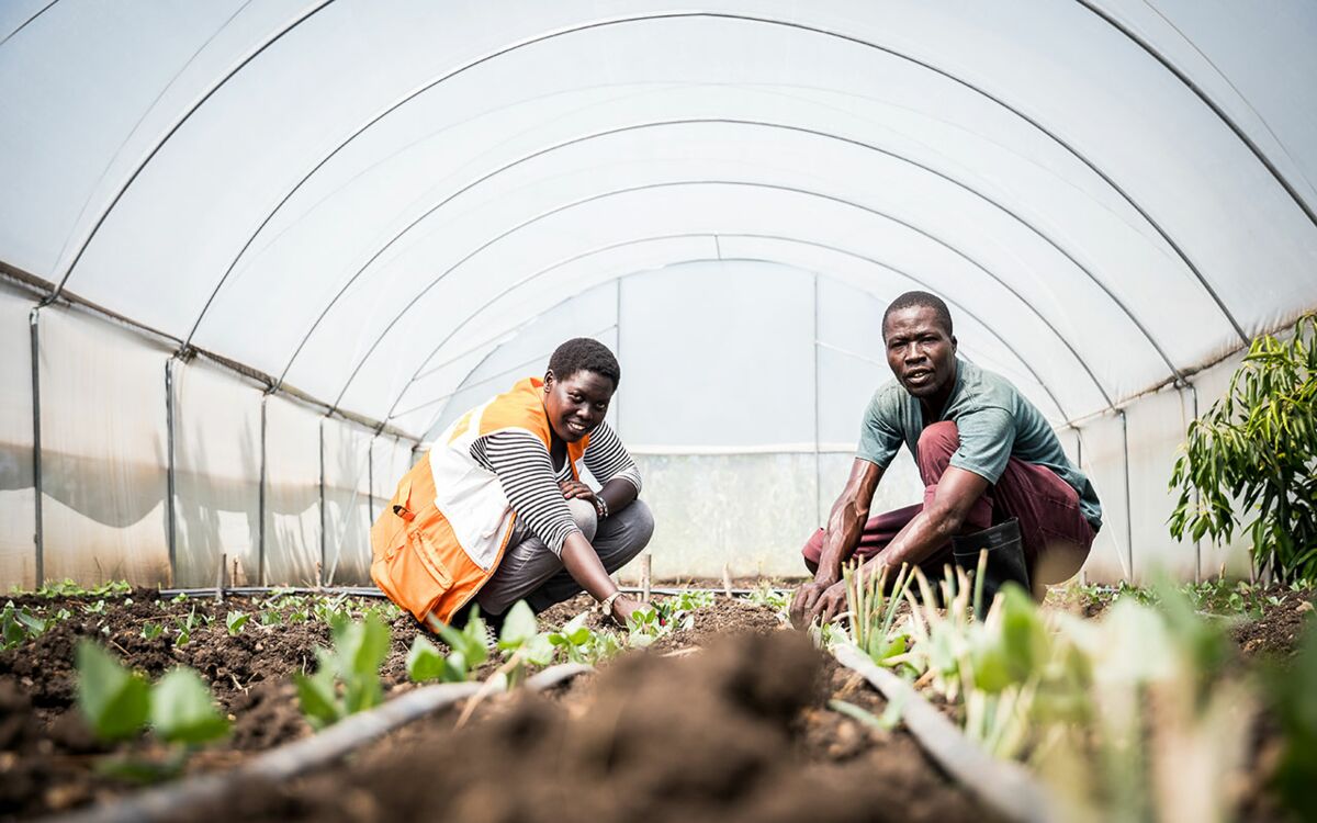 Ein Klassenzimmer im Garten Eden