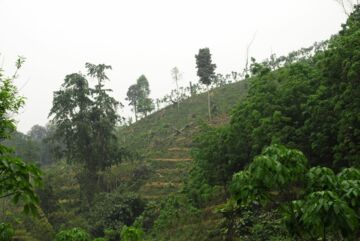 Ich bin ein Alternativtext