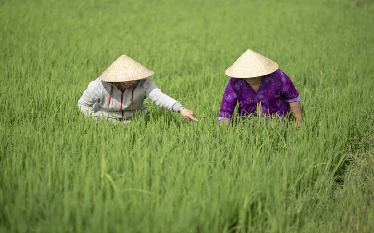 „Die Türen sind offen - wir Farmer sind bereit‟