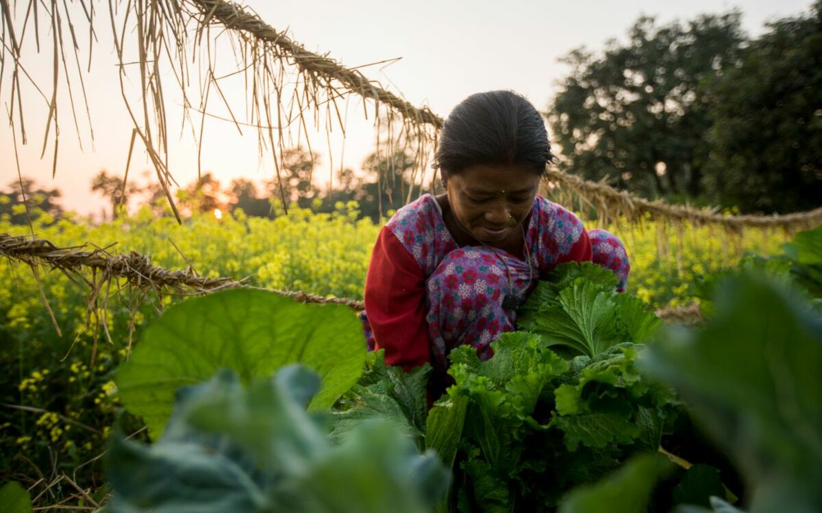 Investitionen in gesunde Böden: Fluch oder Segen?