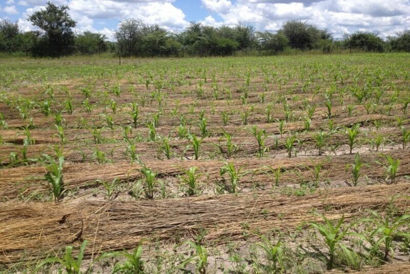 © GIZ/ Stephanie Cheesman