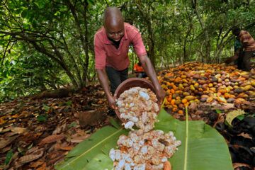 Ich bin ein Alternativtext