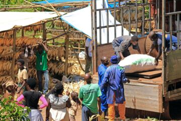 Ich bin ein Alternativtext