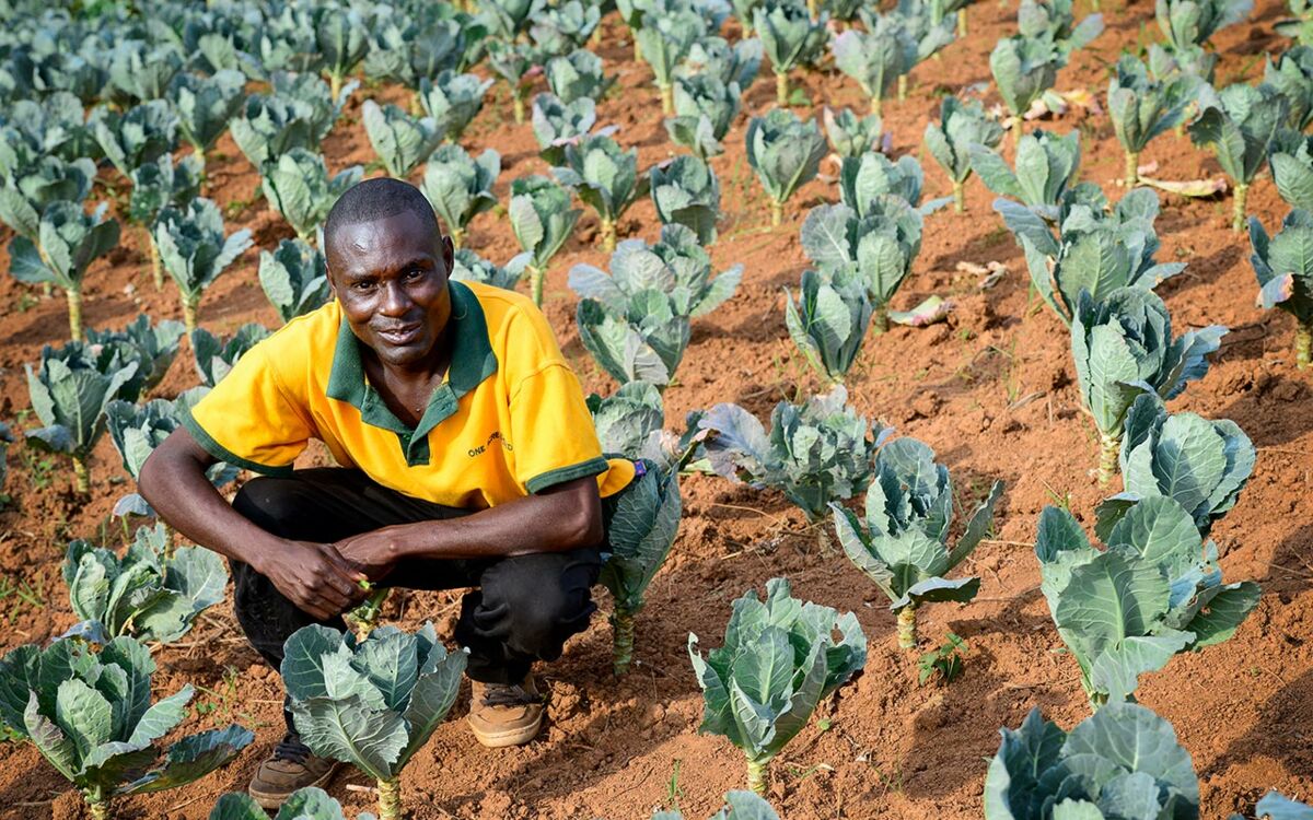 Kein Geschäft ohne den Staat