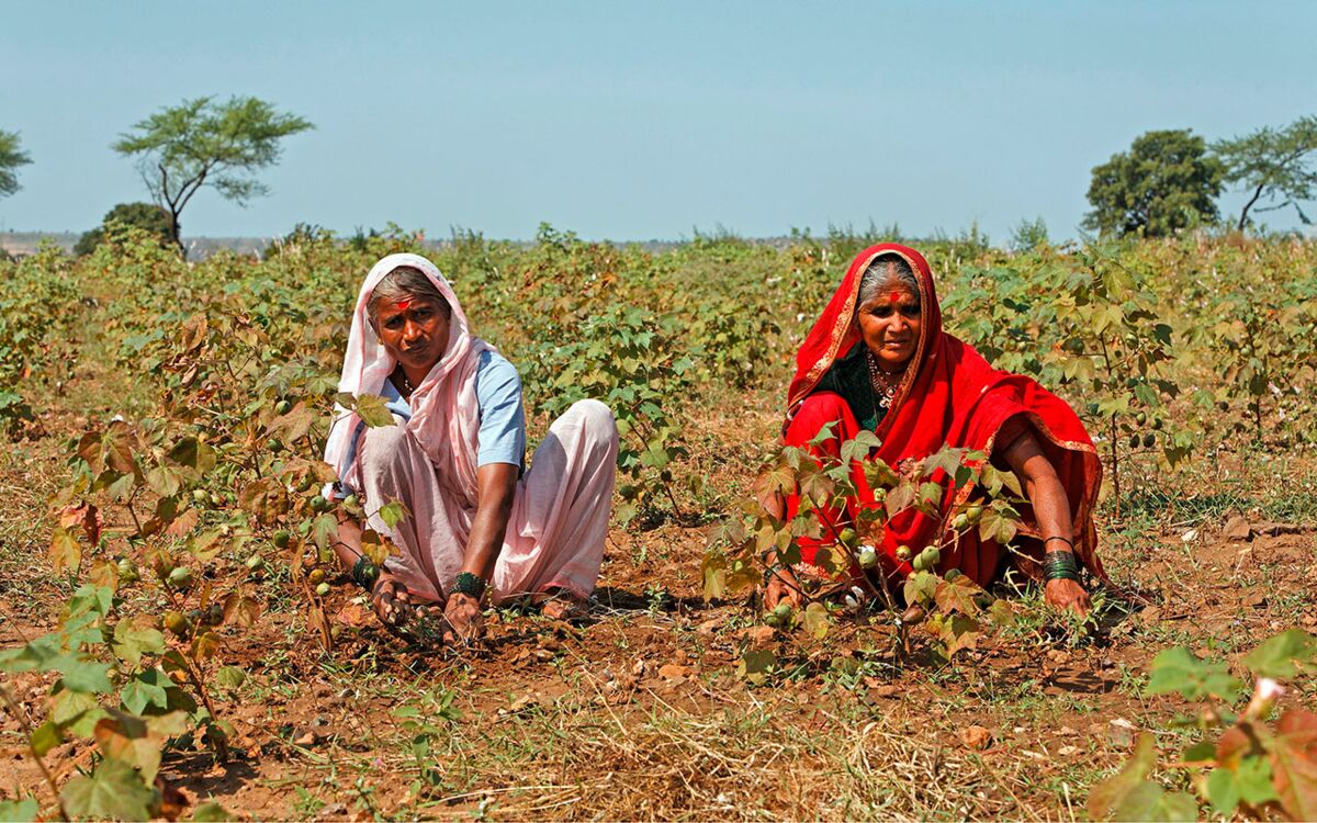 Fruchtbare Böden erhalten