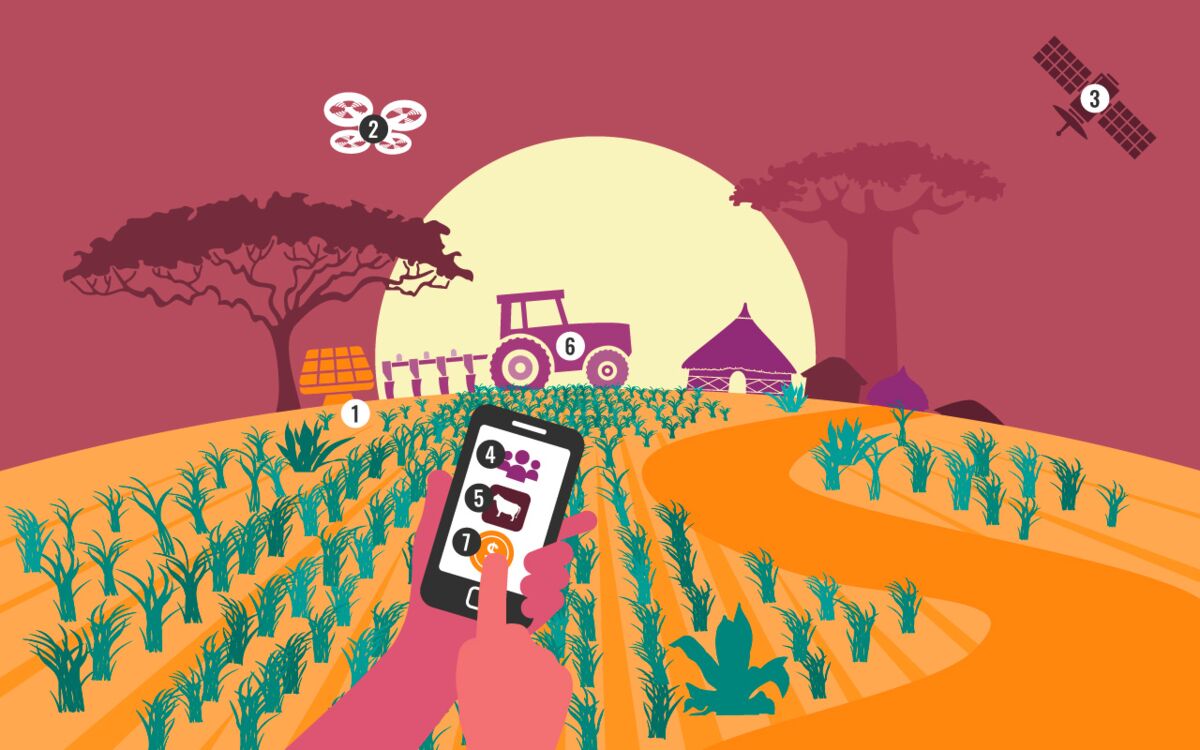 The digitised farmyard