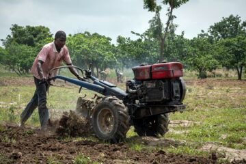 Ich bin ein Alternativtext