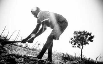 Ich bin ein Alternativtext