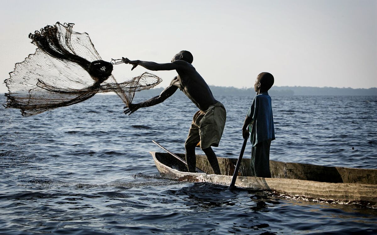Grenzenlose Ernährungssicherheit