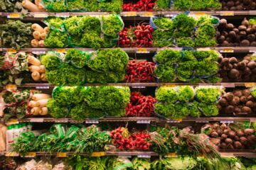 Quinoa könnte in Zentralasien ein riesiges Potenzial haben, wo das Aralseebecken besonders stark von der Versalzung betroffen ist. Foto: ICBA