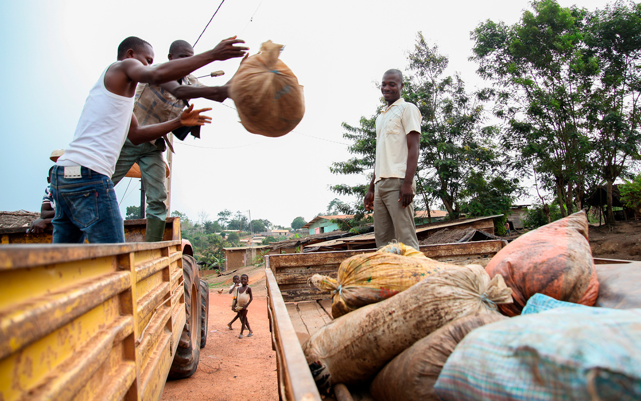 Die Ernte wird weitergereicht. Der Weg der Lieferkette beginnt  ©GaÎl GellÈ
