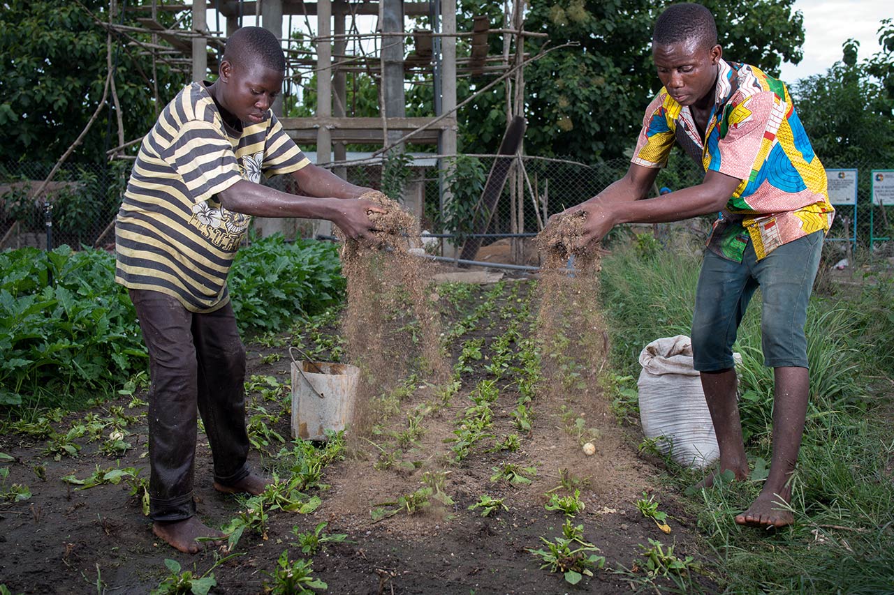 Benin: Training for young farmers to cultivate fields in the green innovation center near the city of Lokossa. Photo: Klaus Wohlmann/GIZ