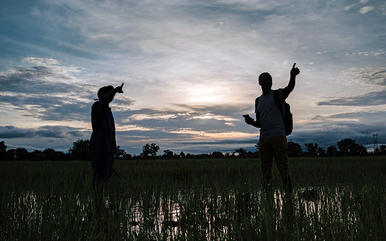 Rice field in Ghana. Photo: Nyani Quarmyne/nqphotography.com